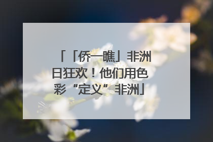 「侨一瞧」非洲日狂欢！他们用色彩“定义”非洲