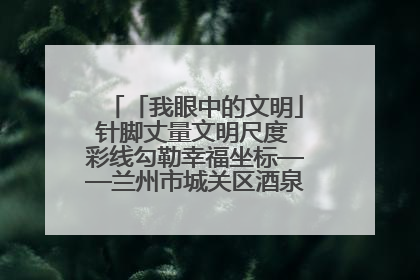 「我眼中的文明」针脚丈量文明尺度 彩线勾勒幸福坐标——兰州市城关区酒泉路街道办事处