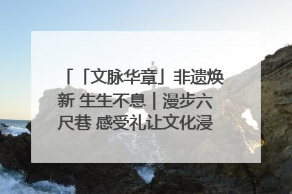 「文脉华章」非遗焕新 生生不息｜漫步六尺巷 感受礼让文化浸润的“巷”往生活