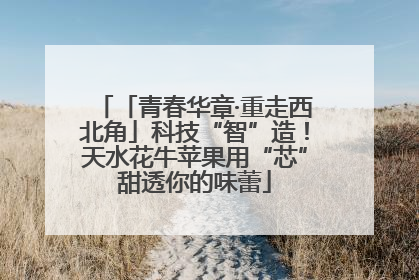 「青春华章·重走西北角」科技“智”造！天水花牛苹果用“芯”甜透你的味蕾
