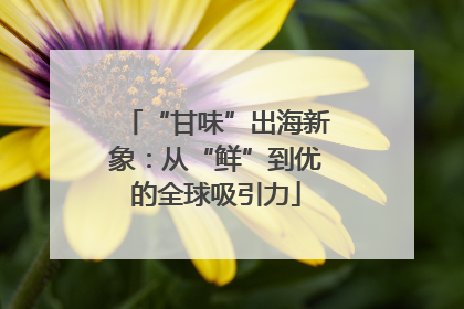 “甘味”出海新象：从“鲜”到优的全球吸引力