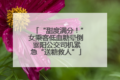 “甜度满分！”女乘客低血糖晕倒 襄阳公交司机紧急“送糖救人”