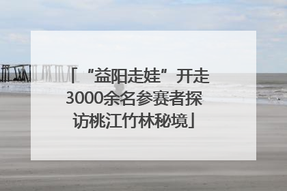 “益阳走娃”开走 3000余名参赛者探访桃江竹林秘境