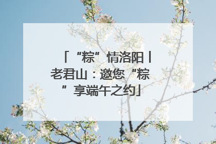 “粽”情洛阳丨老君山：邀您“粽”享端午之约
