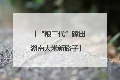 “粮二代”蹚出湖南大米新路子