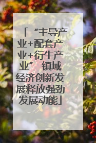 “主导产业+配套产业+衍生产业” 镇域经济创新发展释放强劲发展动能