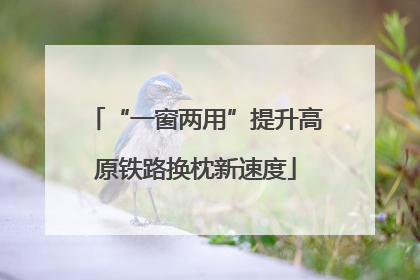 “一窗两用”提升高原铁路换枕新速度