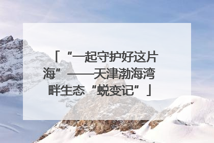 “一起守护好这片海”——天津渤海湾畔生态“蜕变记”