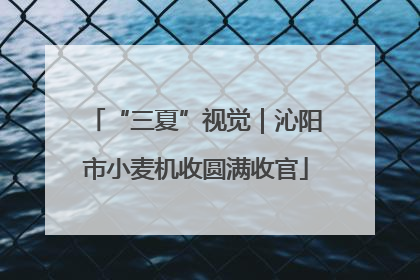 “三夏”视觉｜沁阳市小麦机收圆满收官