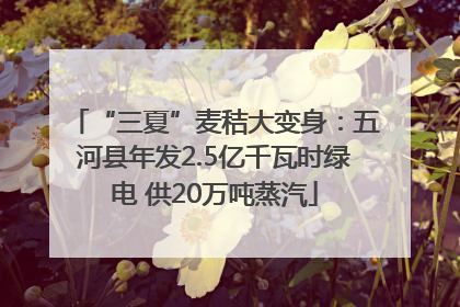 “三夏”麦秸大变身：五河县年发2.5亿千瓦时绿电 供20万吨蒸汽
