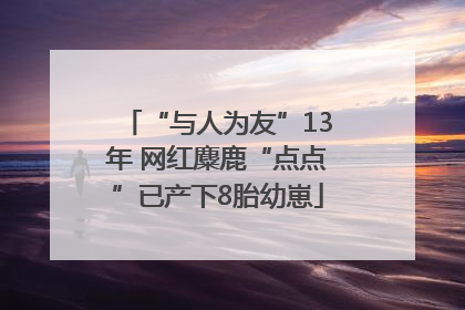 “与人为友”13年 网红麋鹿“点点”已产下8胎幼崽