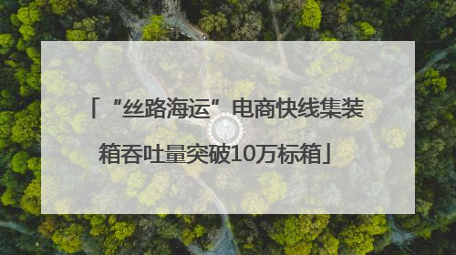 “丝路海运”电商快线集装箱吞吐量突破10万标箱