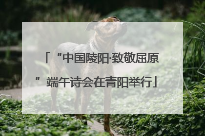 “中国陵阳·致敬屈原”端午诗会在青阳举行