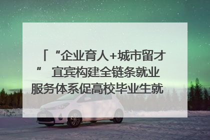 “企业育人+城市留才” 宜宾构建全链条就业服务体系促高校毕业生就业｜您牵挂的四川