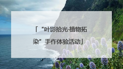 “叶影拾光·植物拓染”手作体验活动