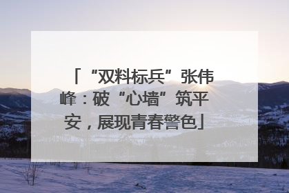 “双料标兵”张伟峰：破“心墙”筑平安，展现青春警色