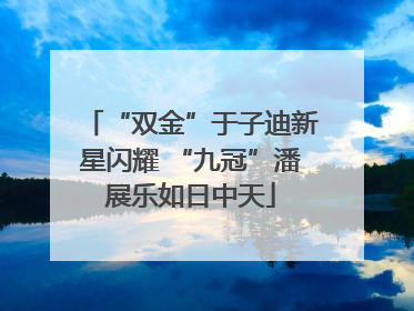 “双金”于子迪新星闪耀 “九冠”潘展乐如日中天