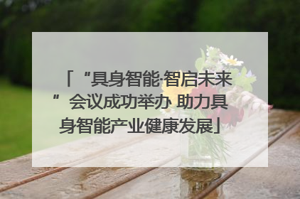 “具身智能·智启未来”会议成功举办 助力具身智能产业健康发展