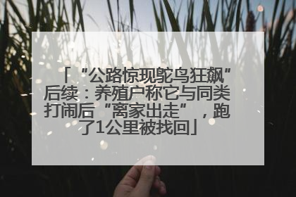 “公路惊现鸵鸟狂飙”后续：养殖户称它与同类打闹后“离家出走”，跑了1公里被找回