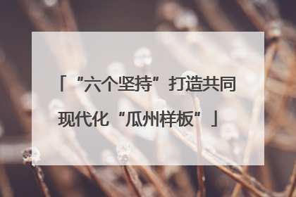 “六个坚持”打造共同现代化“瓜州样板”