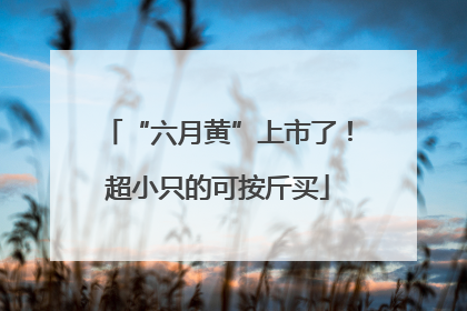 “六月黄”上市了！超小只的可按斤买