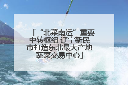 “北菜南运”重要中转枢纽 辽宁新民市打造东北最大产地蔬菜交易中心