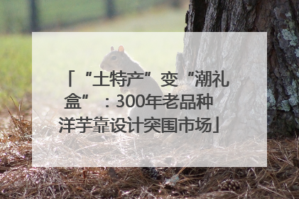 “土特产”变“潮礼盒”：300年老品种洋芋靠设计突围市场