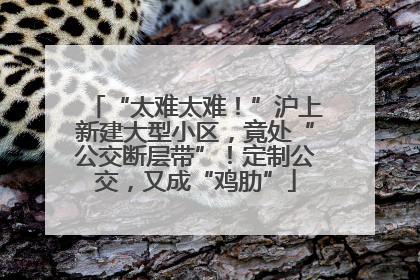 “太难太难！”沪上新建大型小区，竟处“公交断层带”！定制公交，又成“鸡肋”