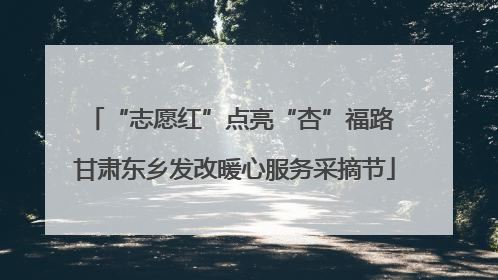 “志愿红”点亮“杏”福路 甘肃东乡发改暖心服务采摘节
