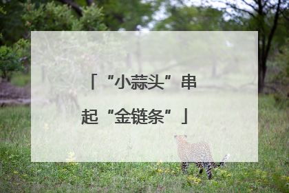 “小蒜头”串起“金链条”
