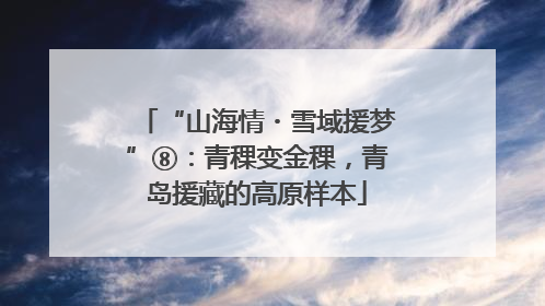 “山海情・雪域援梦”⑧：青稞变金稞，青岛援藏的高原样本