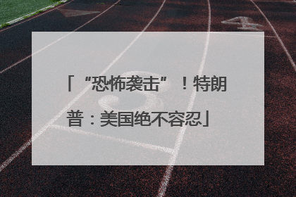 “恐怖袭击”！特朗普：美国绝不容忍