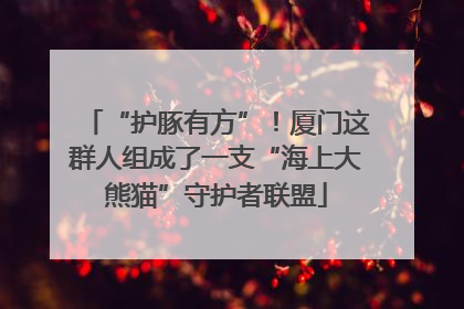 “护豚有方”！厦门这群人组成了一支“海上大熊猫”守护者联盟