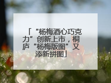 “杨梅酒心巧克力”创新上市，桐庐“杨梅版图”又添新拼图