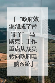 “政府效率部成了替罪羊” 马斯克：工作重点从裁员转向政府电脑系统