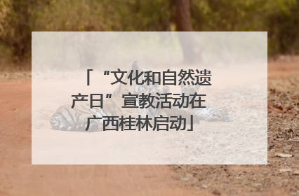 “文化和自然遗产日”宣教活动在广西桂林启动