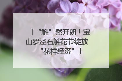 “斛”然开朗！宝山罗泾石斛花节绽放“花样经济”