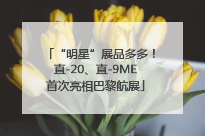 “明星”展品多多！直-20、直-9ME首次亮相巴黎航展