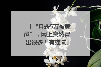 “月薪5万被裁员”，网上突然冒出很多！有猫腻