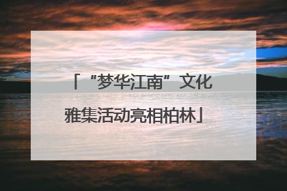 “梦华江南”文化雅集活动亮相柏林