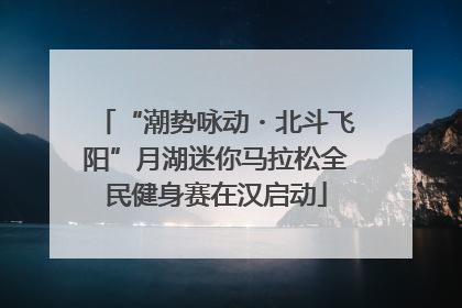 “潮势咏动・北斗飞阳”月湖迷你马拉松全民健身赛在汉启动
