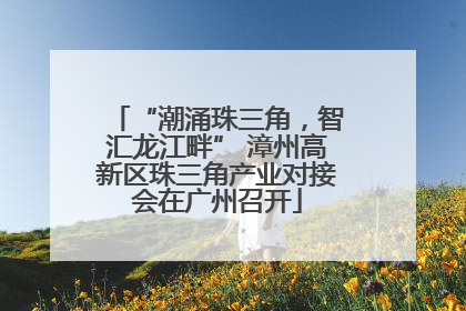 “潮涌珠三角，智汇龙江畔” 漳州高新区珠三角产业对接会在广州召开