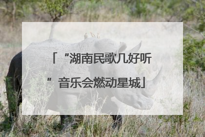 “湖南民歌几好听”音乐会燃动星城