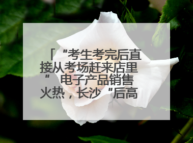 “考生考完后直接从考场赶来店里” 电子产品销售火热，长沙“后高考经济”升温
