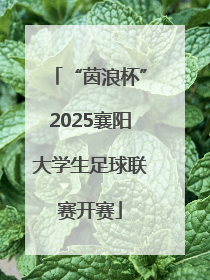 “茵浪杯”2025襄阳大学生足球联赛开赛
