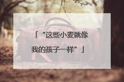 “这些小麦就像我的孩子一样”