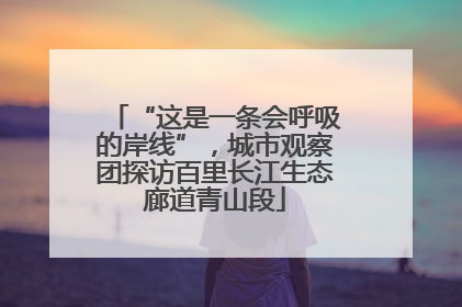 “这是一条会呼吸的岸线”，城市观察团探访百里长江生态廊道青山段