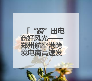 “跨”出电商好风光——郑州航空港跨境电商高速发展综述