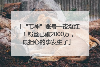 “韦神”账号一夜爆红！粉丝已破2000万，最担心的事发生了