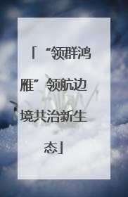 “领群鸿雁”领航边境共治新生态